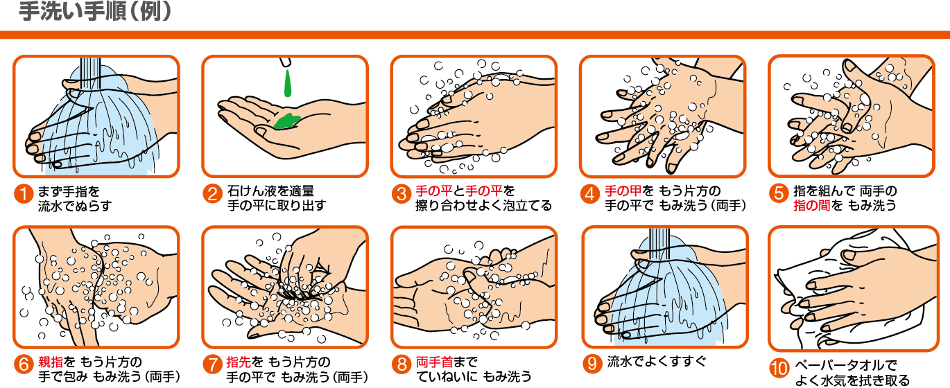 手洗い手順（例）