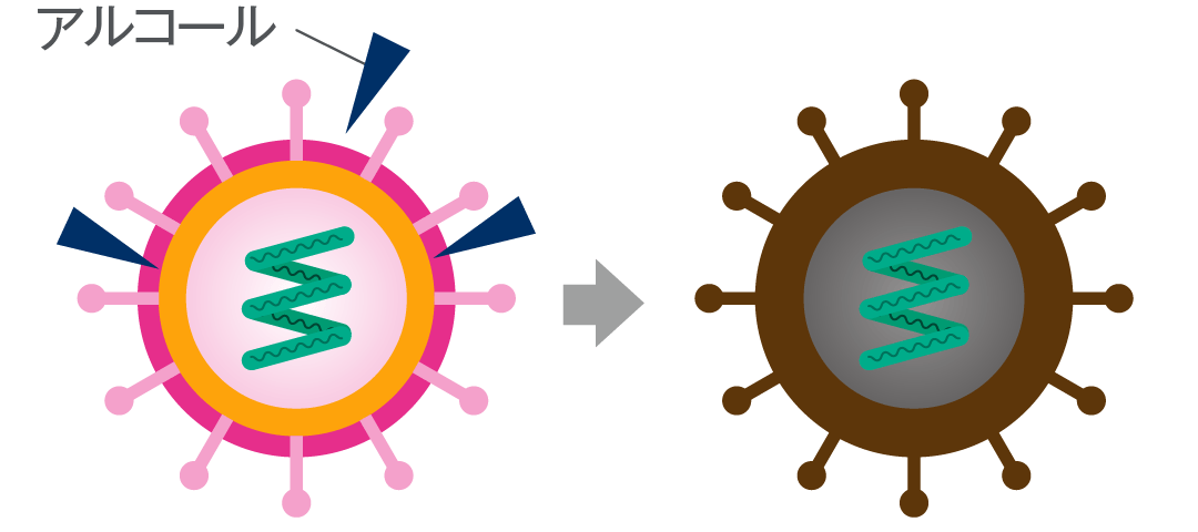 細菌 ウイルス 感染と予防