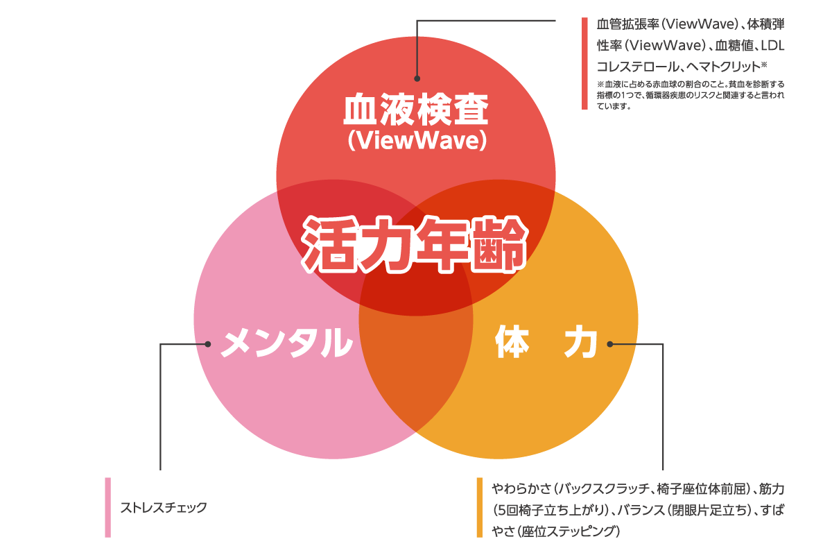 活力年齢の構成概念と要素