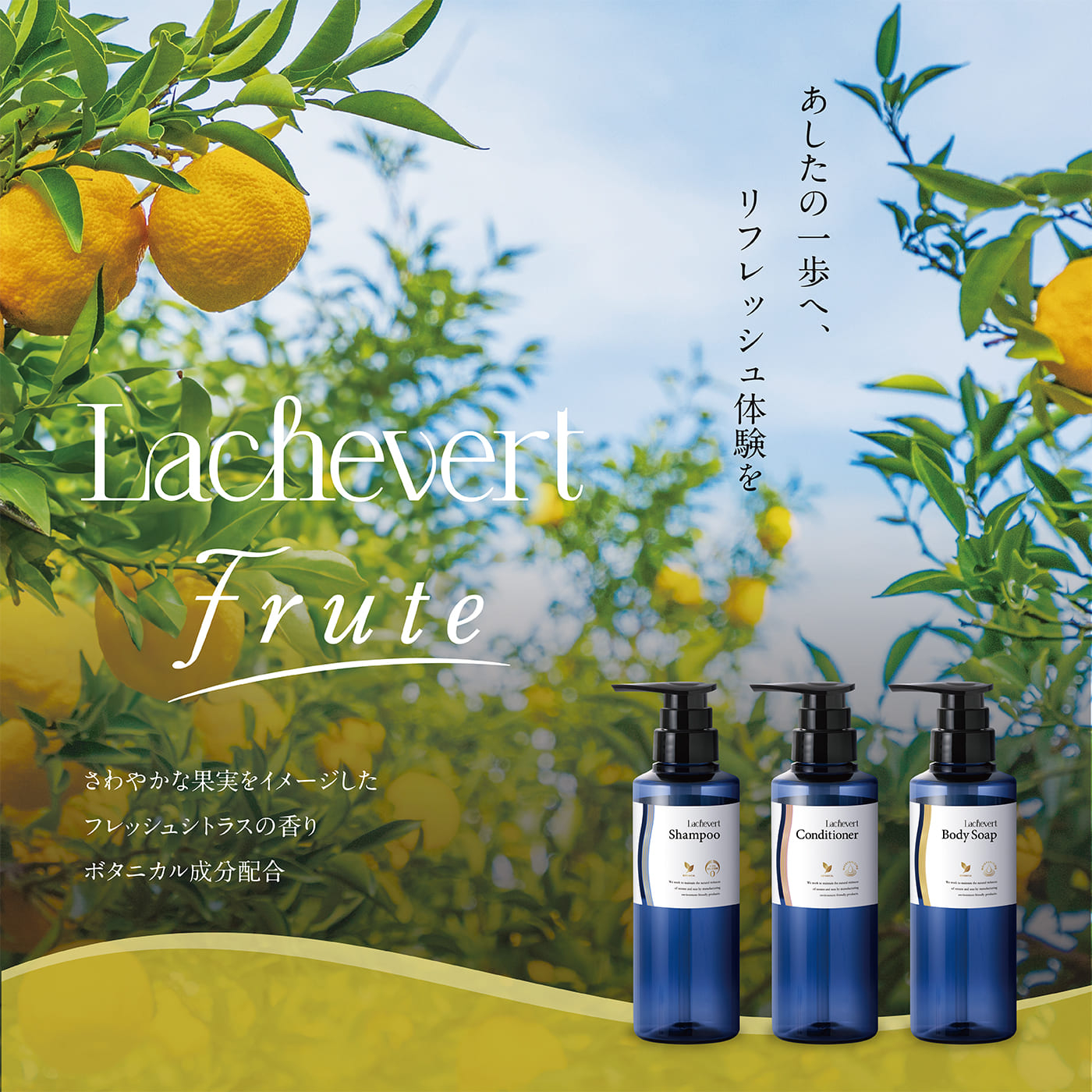 LACHEVERT Frute シャンプー 20L LACHEVERT Frute 製品情報 サラヤ業務用製品情報 PRO  SARAYA