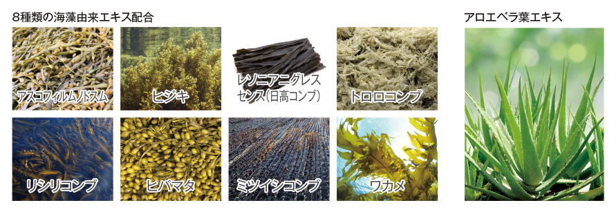 LACHEVERT Talassa（ラシュヴェール タラッサ）ボディーソープ 10L