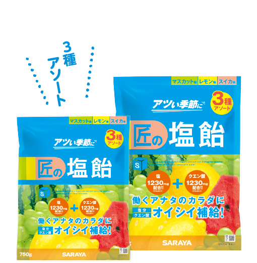 匠の塩飴 3種アソート