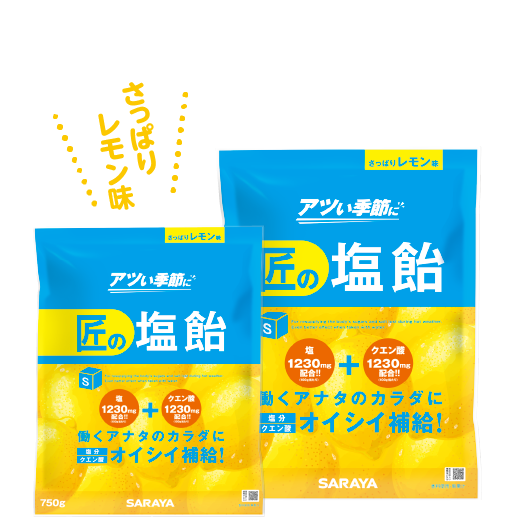 匠の塩飴 レモン味