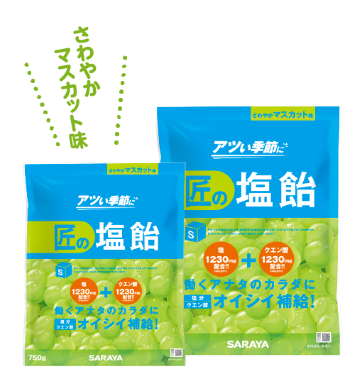 匠の塩飴 マスカット味