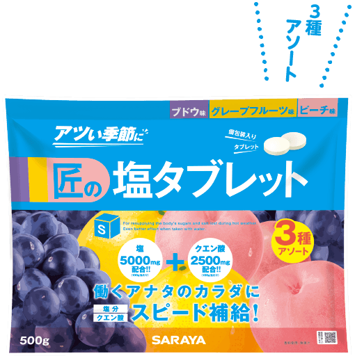 匠の塩タブレット 3種アソート味