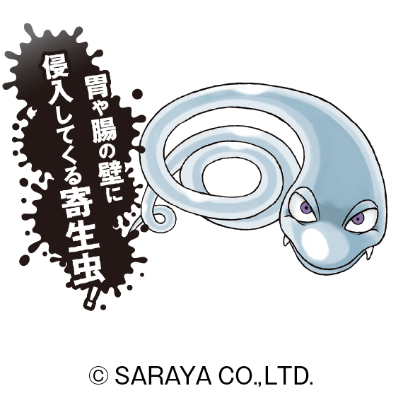 胃や腸の壁に侵入してくる寄生虫！
