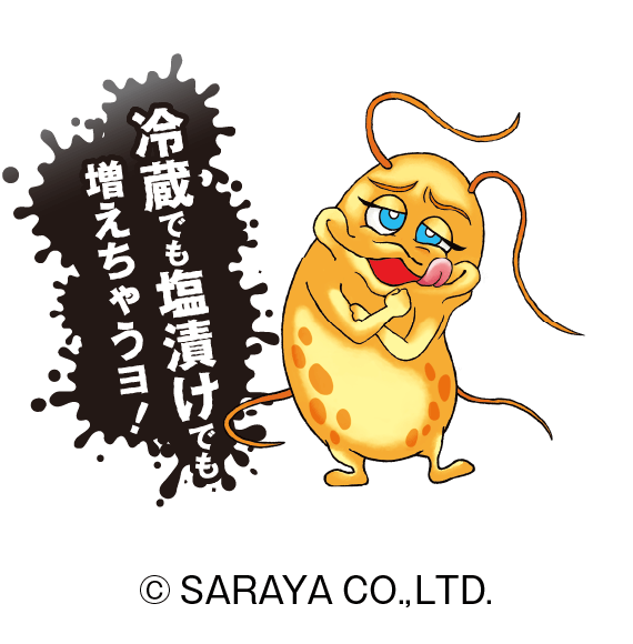 冷蔵でも塩漬けでも増えちゃうヨ！